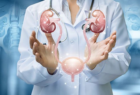 1711005214best urologist in lahore